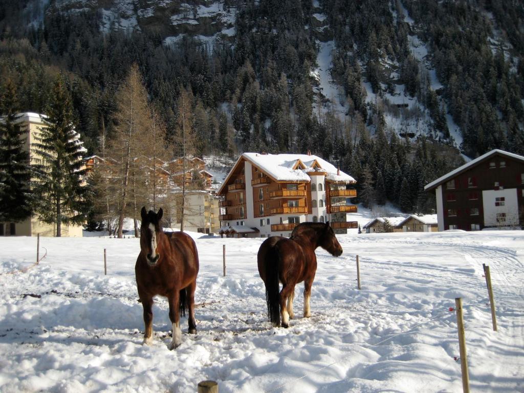 Residence Golf C 21 Leukerbad Buitenkant foto